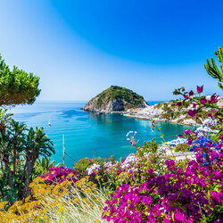 Пазл: Залив     