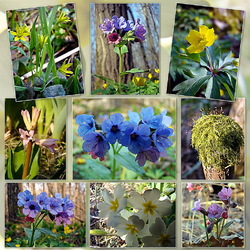 Пазл: Пробуждение весны