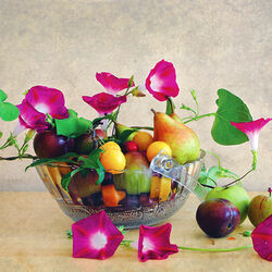 Пазл: Вспомним лето