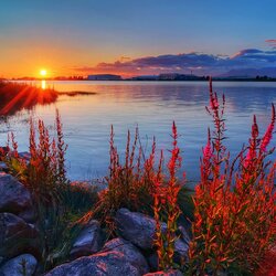 Пазл: Закат  