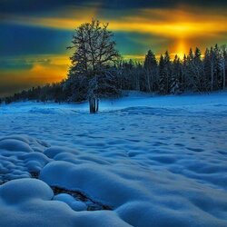 Пазл: Зимний закат   