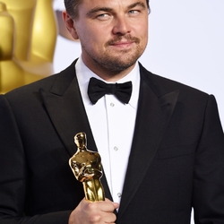 Пазл: Леонардо Ди Каприо