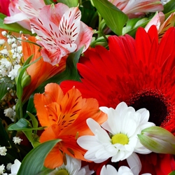 Пазл: Праздник весны