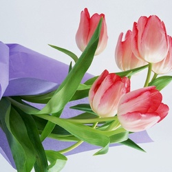 Пазл: С 8 Марта!