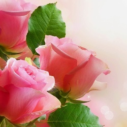 Пазл: С праздником!