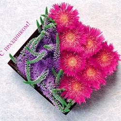 Пазл: С праздником !