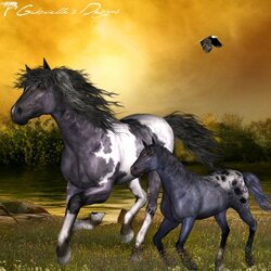 Пазл: Йог и его матушка