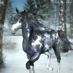 Пазл: Шаста