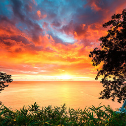 Пазл: На закате   