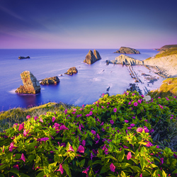 Пазл: Побережье    