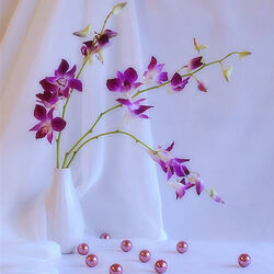 Пазл: Нежность