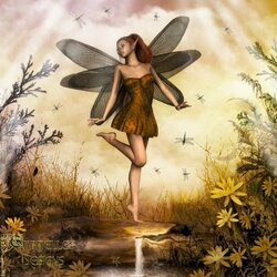 Пазл: Стрекоза