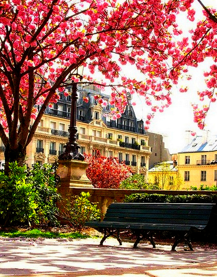 Улочки Парижа парк