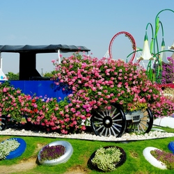 Пазл: Чудо -сад в Дубаях