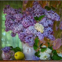 Пазл: Сирень