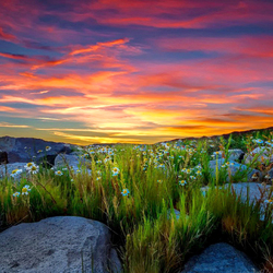 Пазл: Закат в горах  