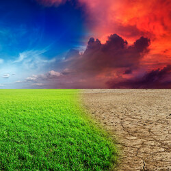 Пазл: Контраст  