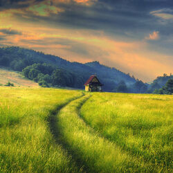 Пазл: Домик в поле