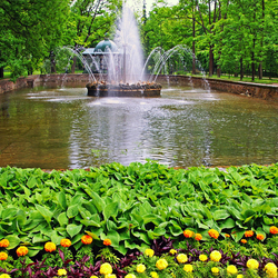 Пазл: Фонтан в Петергофе