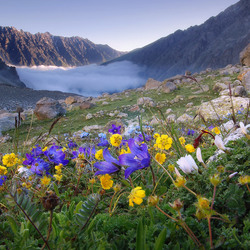 Пазл: В горах 