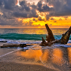 Пазл: Морской закат     