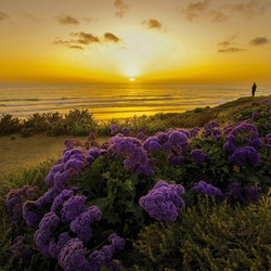 Пазл: Морской закат     