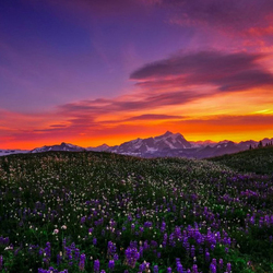 Пазл: Закат в горах    