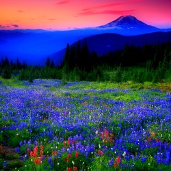 Пазл: Голубая долина