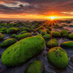 Пазл: Морской закат  