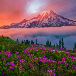 Пазл: Закат в горах     