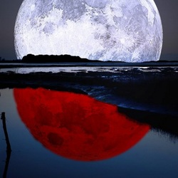 Пазл: Полнолуние    