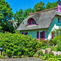 Пазл: Яркий дом