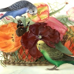 Пазл: Попугайчики