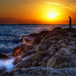 Пазл: Морской закат      