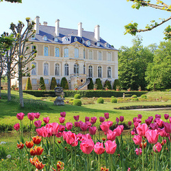 Пазл: Замок весной