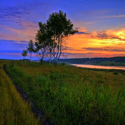 Пазл: Закат     