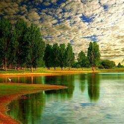 Пазл: Пруд   