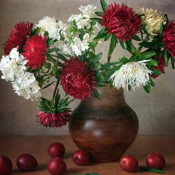 Пазл: Астры