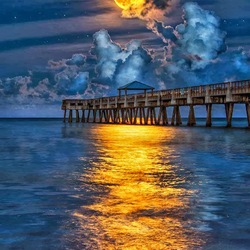 Пазл: Полнолуние        