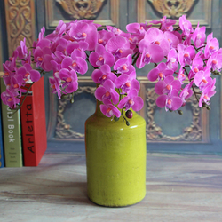 Пазл: Орхидеи