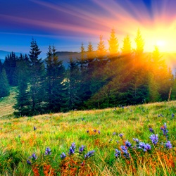 Пазл: Рассвет в горах