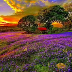 Пазл: Закат 