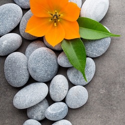 Пазл: Камешки