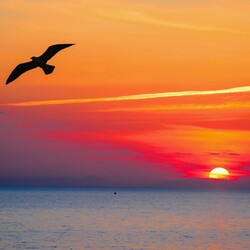 Пазл: Морской закат     