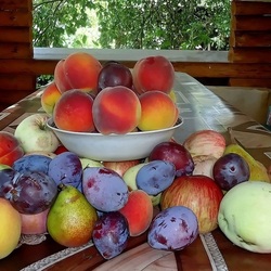 Пазл: Дачный урожай