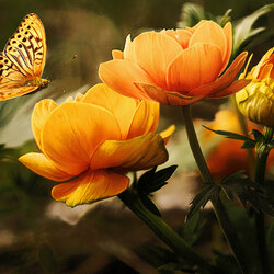 Пазл: В оранжевых тонах