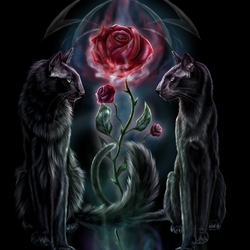 Пазл: Кошки и цветок 