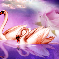 Пазл: Лебеди