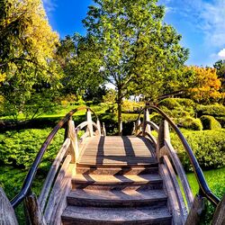 Пазл: Японский парк