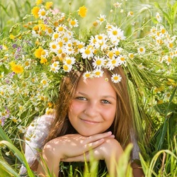 Пазл: Летний луг